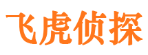 江汉寻人公司